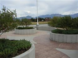 Decker Lake Planter Boxes After